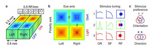 Graphical excerpt from Jose Manuel Alonso research paper Graphical excerpt from Jose Manuel Alonso research paper