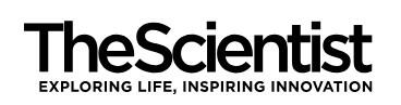 The Scientist Logo The Scientist Logo